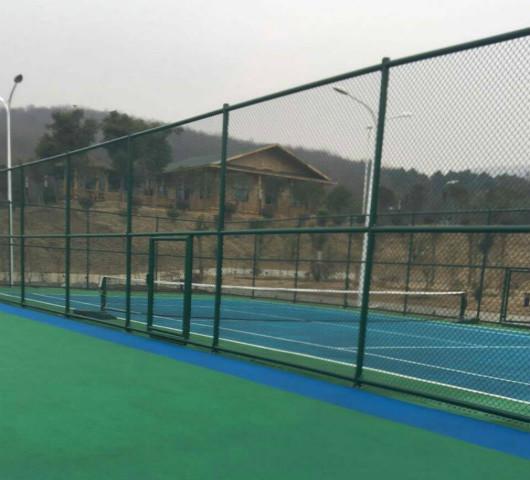 孝感綜合中學運動