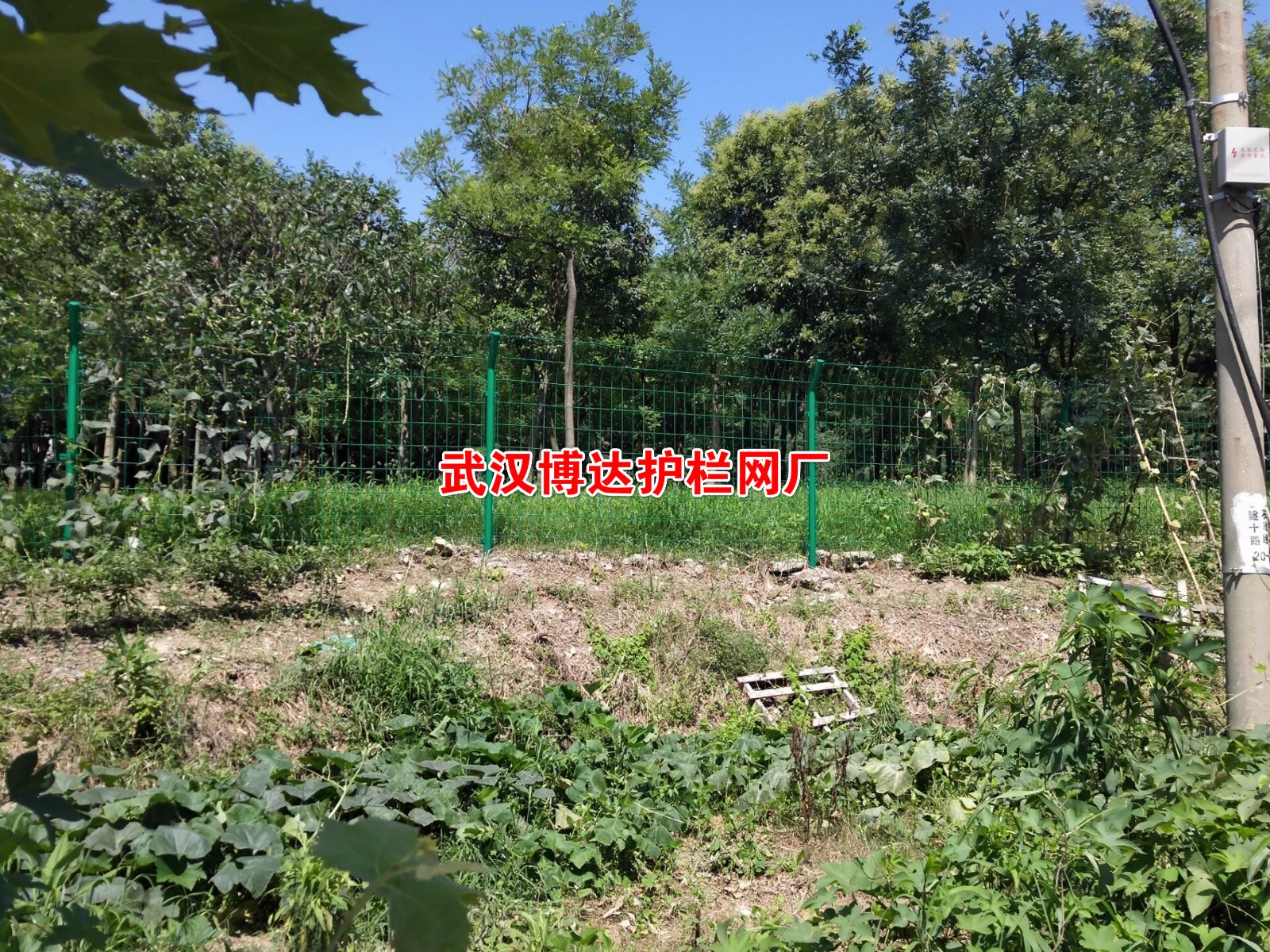 1531293509646048.jpg 1531293509646048.jpg