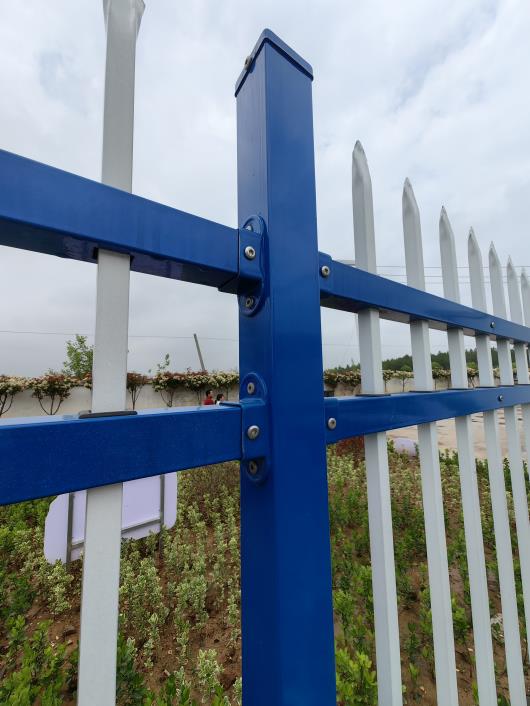 1709800759710696.jpg 2-1.jpg